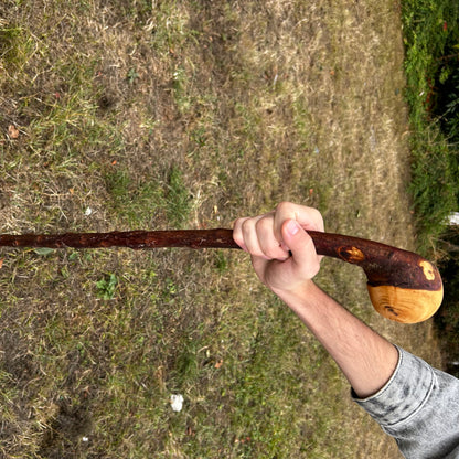 Leaning Knob Blackthorn Shillelagh – 98.9 cm (38.9”)