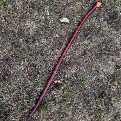 Large Knob Blackthorn Shillelagh with Thick Shaft – 96.5 cm (38”)