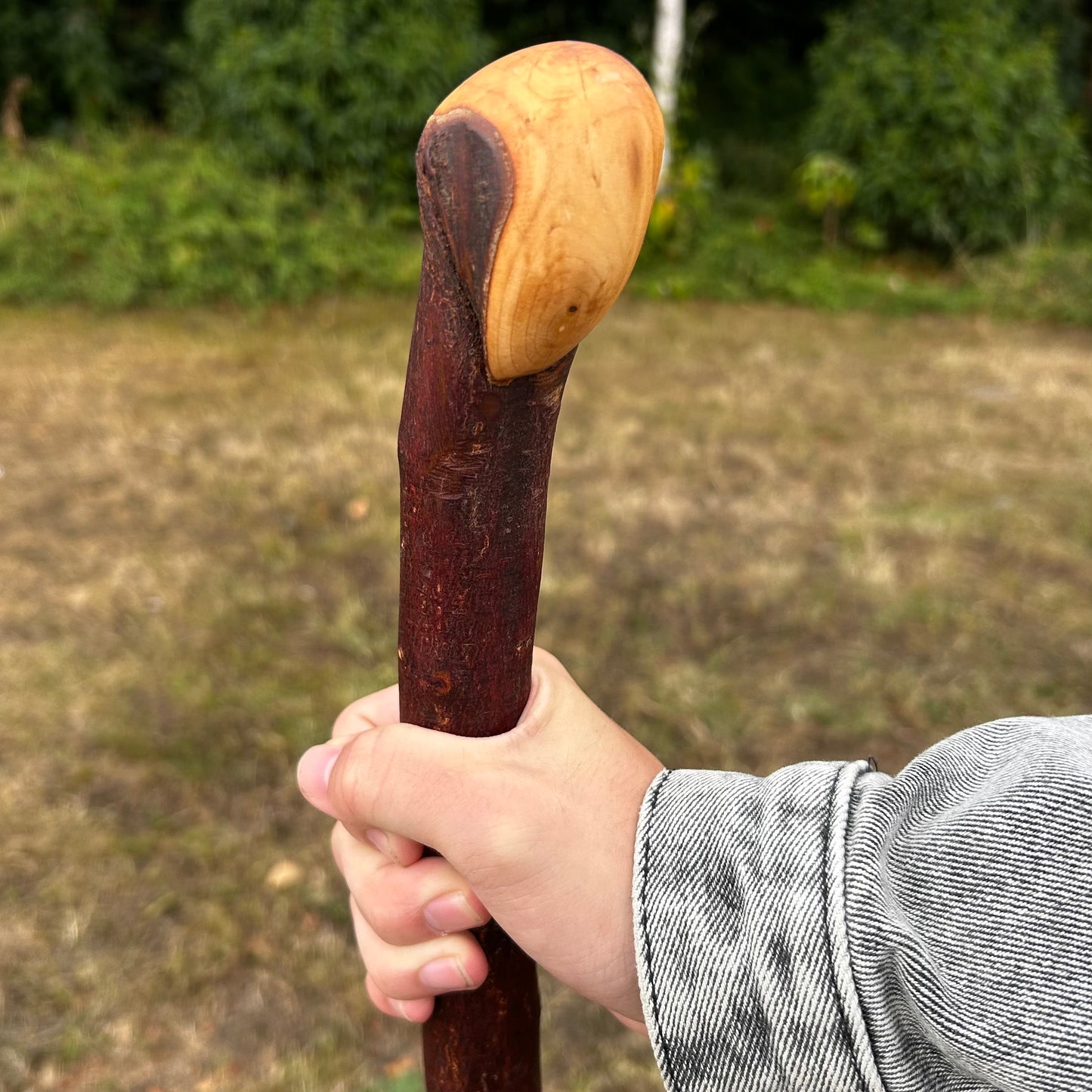 Traditional Blackthorn Shillelagh Small Knob Stick – 100.5 cm (39.6”)
