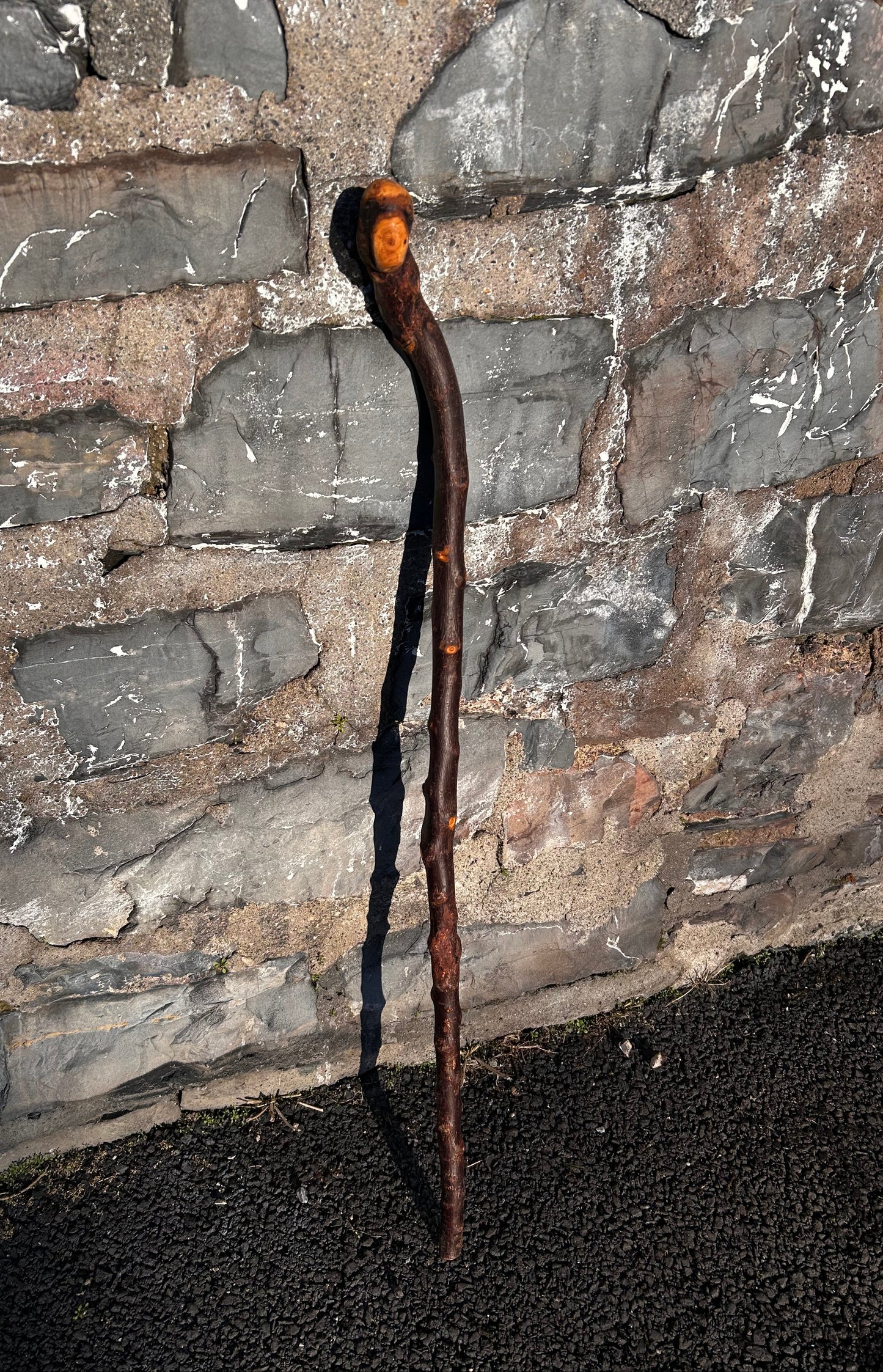 Blackthorn Shillelagh with Large Rugged Handle – 94 cm (37”)