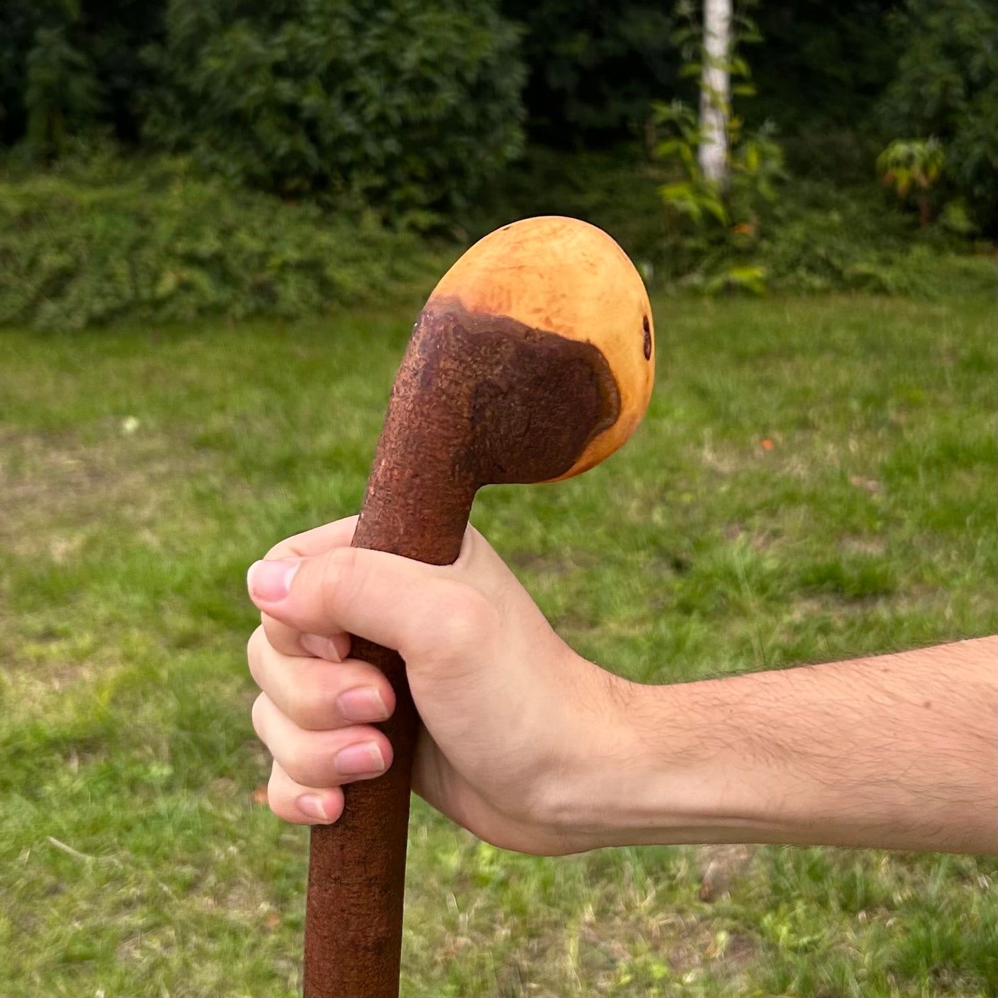 Round Knob Blackthorn Shillelagh – 103 cm (40.6”)
