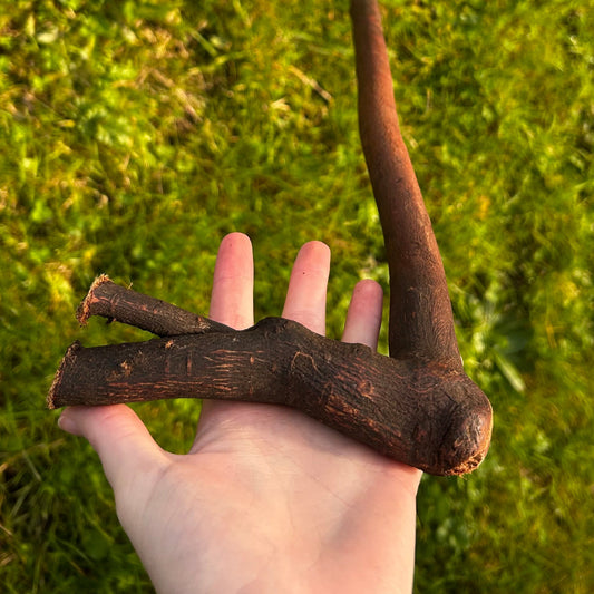 Blackthorn Walking Stick with L Handle – 94 cm (37”)