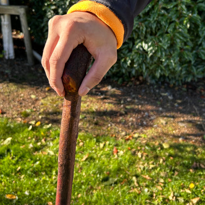 Traditional Wooden Knob Irish Walking Stick – 102 cm (40.2”)