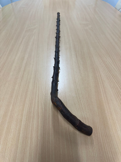 Light Thorny Blackthorn Stick with L Handle – 100cm