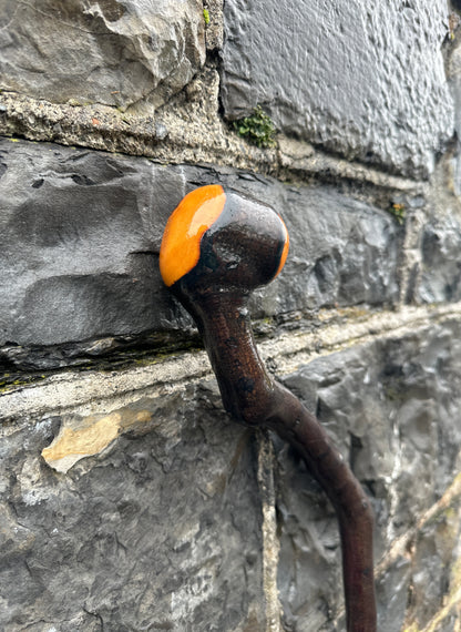 Unique Twisted Blackthorn Walking Stick – 101 cm (39.7”)