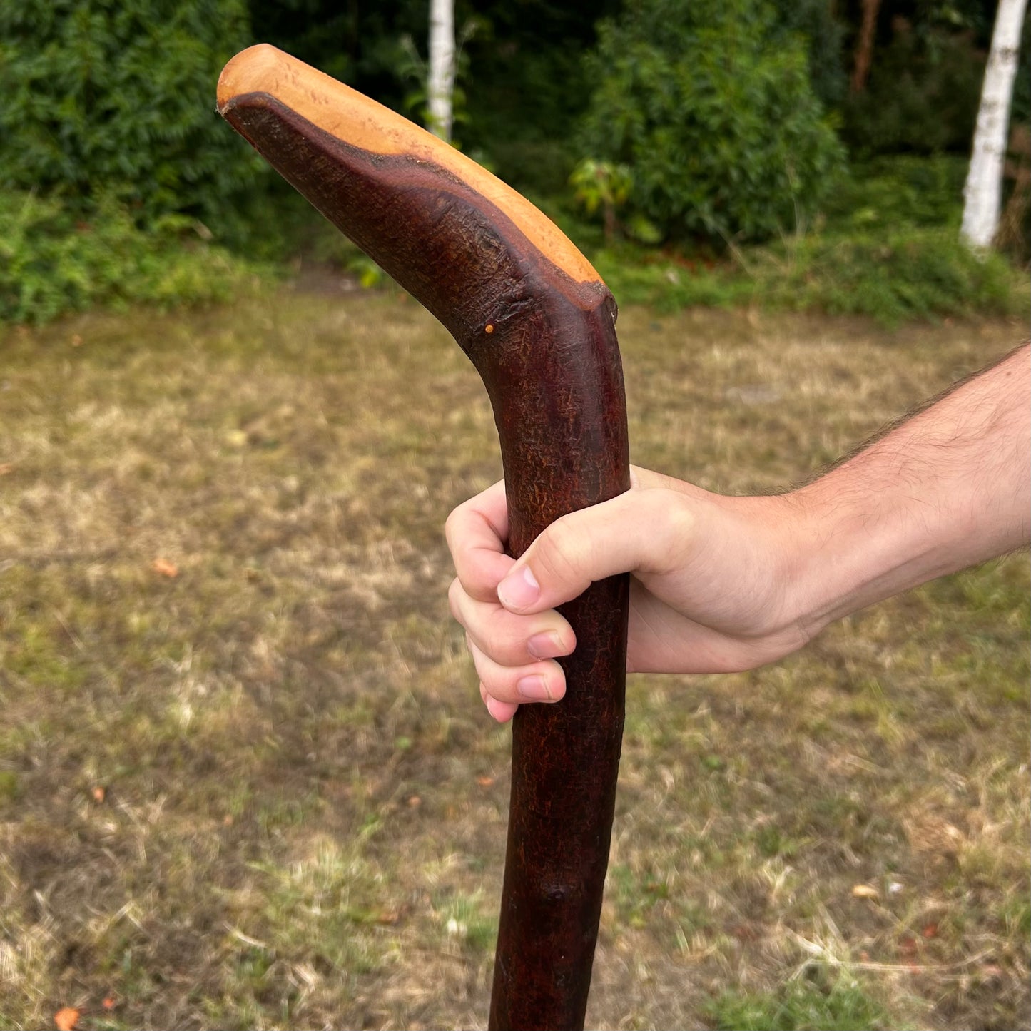 Long Chunky Blackthorn Shillelagh L Handle – 105 cm (41.3”)