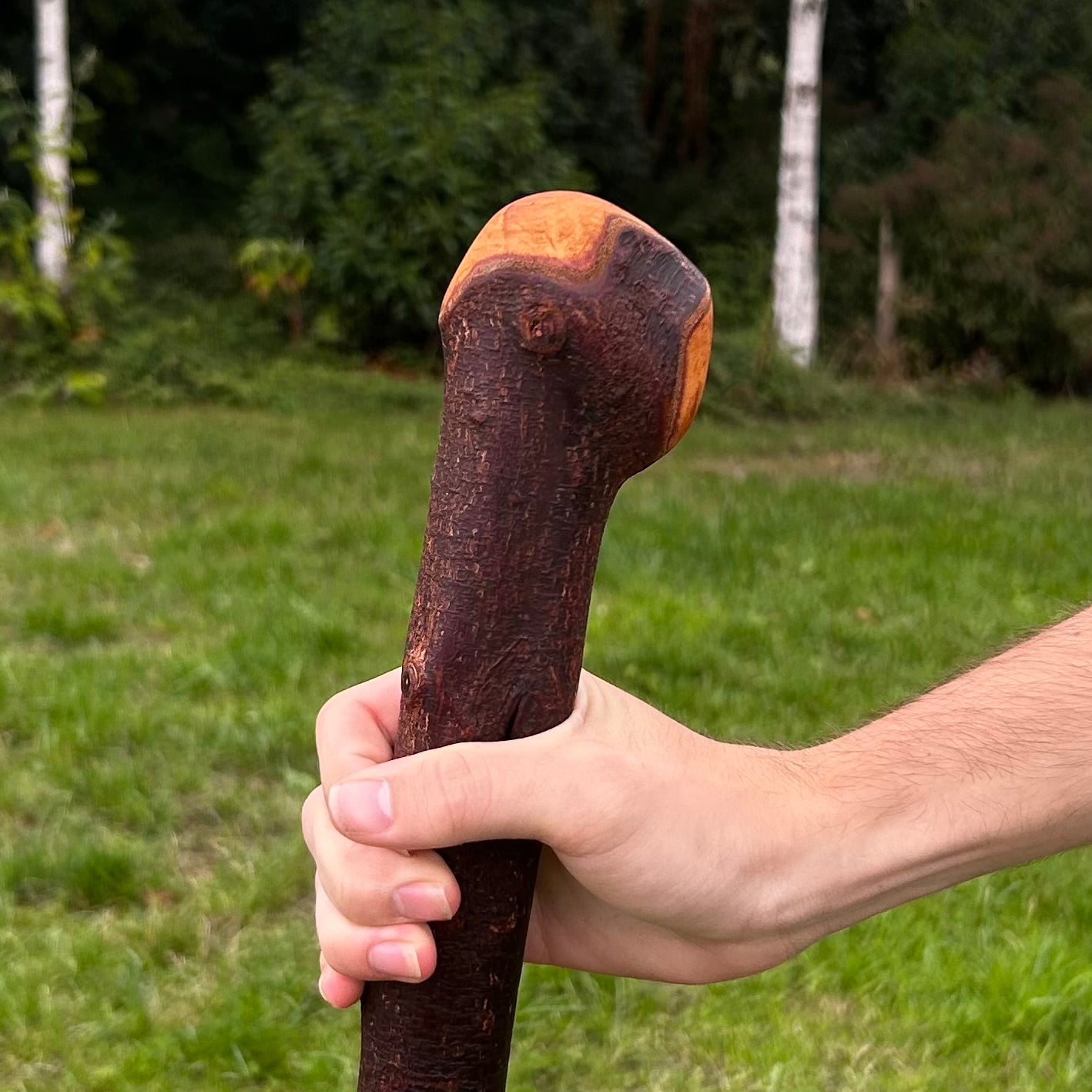 Thick Blackthorn Shillelagh Round Knob Stick – 96 cm (37.8”)