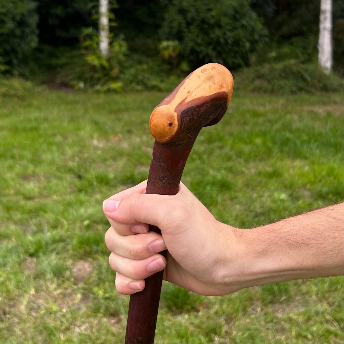 Unusual Chunky Knob Blackthorn Shillelagh – 95 cm (37.4”)
