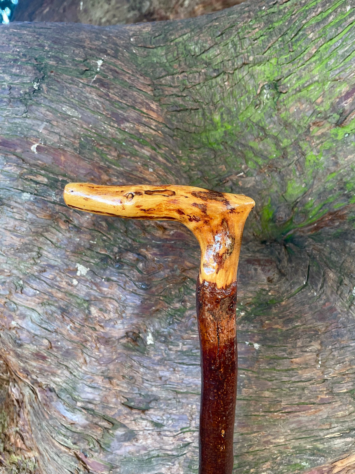 Blackthorn walking stick with L Handle