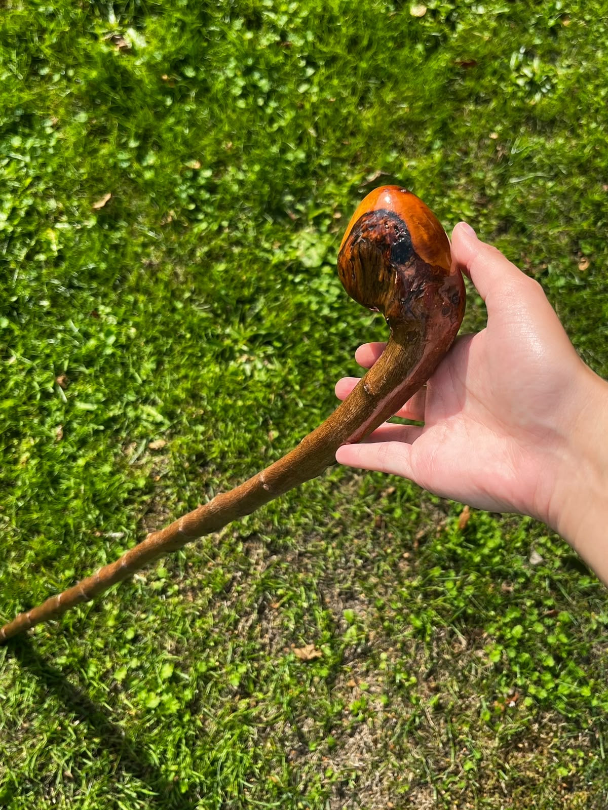 Hazel Knob Walking Stick – 88 cm (33.6”)
