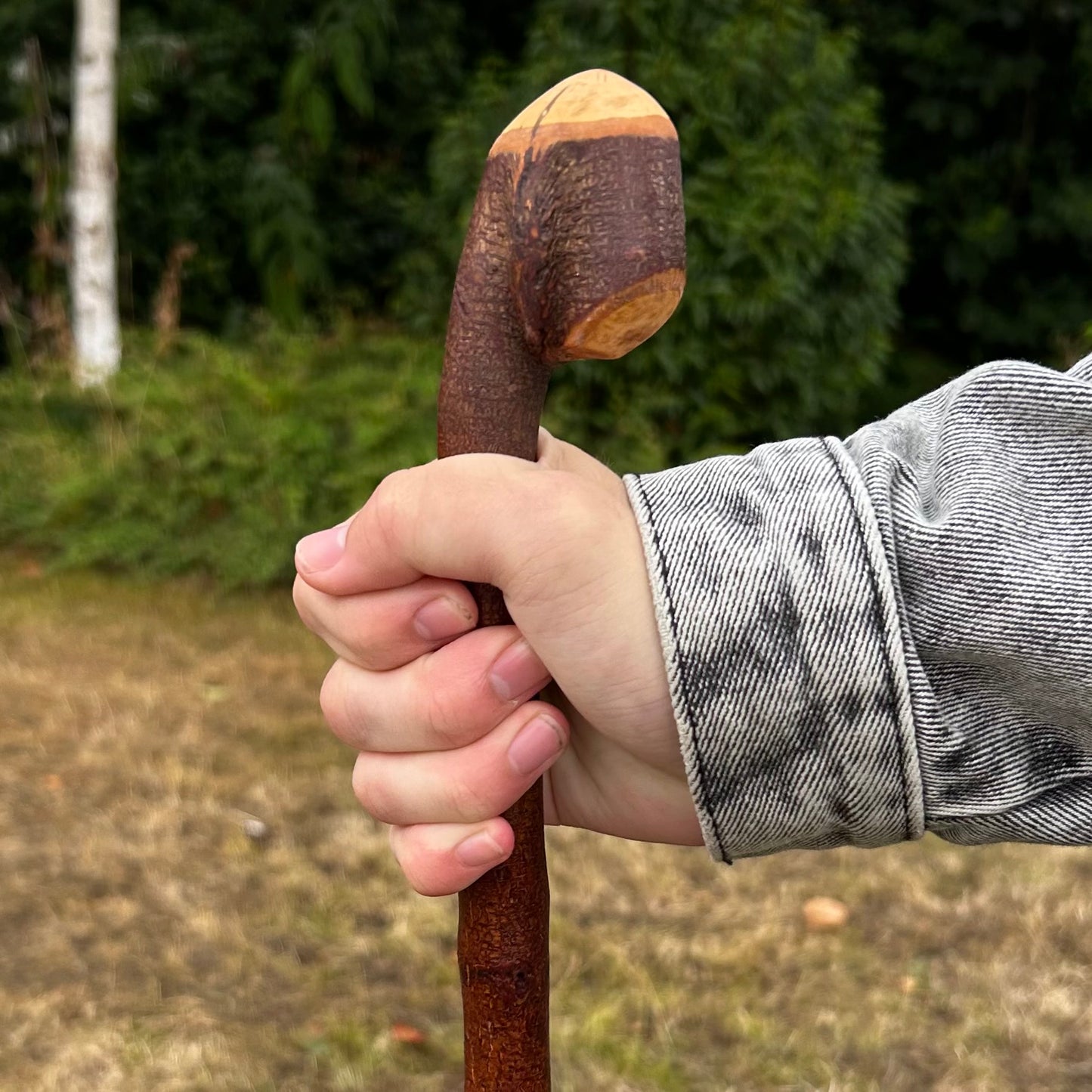 Blackthorn Shillelagh Knob Stick – 95.9 cm (37.8”)