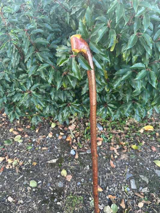 Blackthorn Walking Stick with Grip Handle – 95cm
