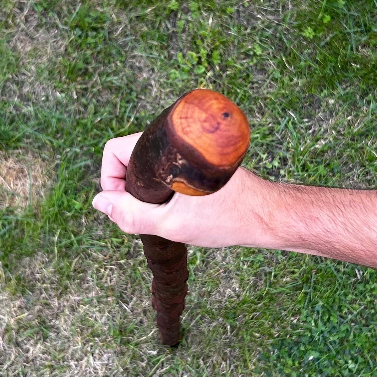 Mature Blackthorn Shillelagh with Knob Handle – 103 cm (40.6”)