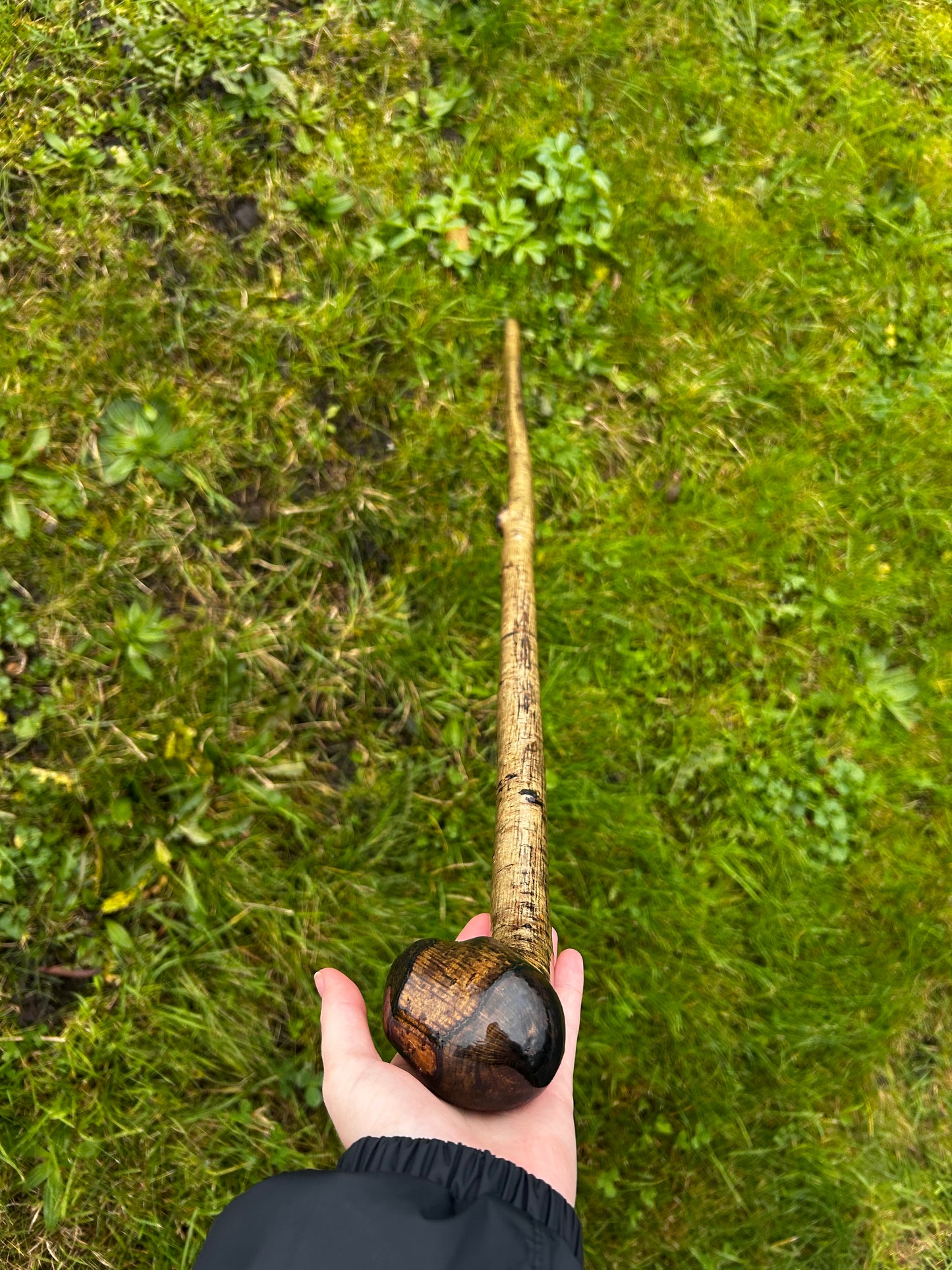 Hazel Walking Stick with Large Dark-Finished Knob Head – 100 cm (39.4”)