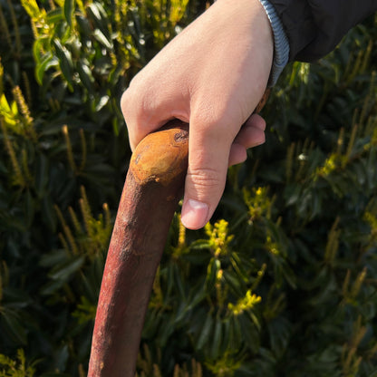 Heavy Blackthorn Shillelagh with Sloped L Handle – 102 cm (40.1”)
