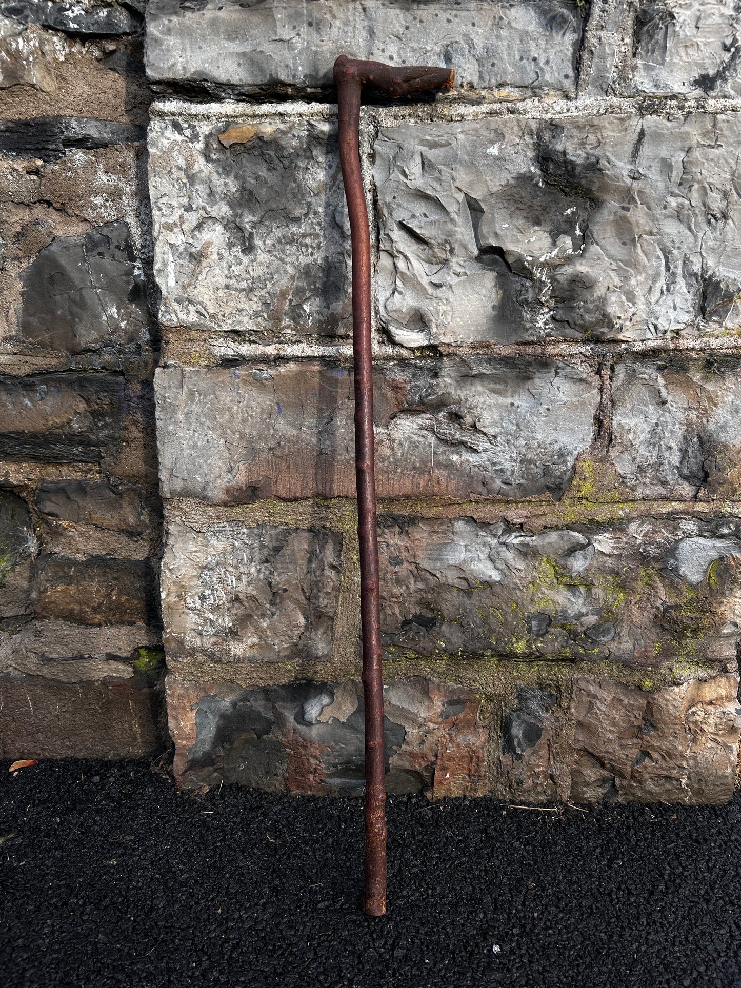 Blackthorn Walking Stick with L Handle – 94 cm (37”)