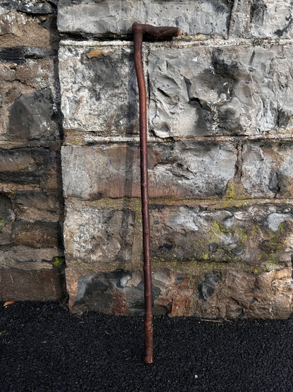 Blackthorn Walking Stick with L Handle – 94 cm (37”)