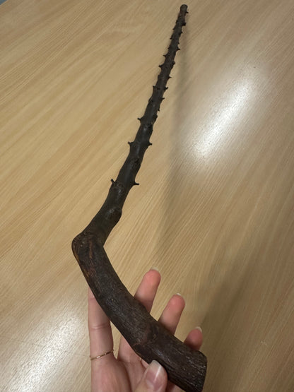 Light Thorny Blackthorn Stick with L Handle – 100cm