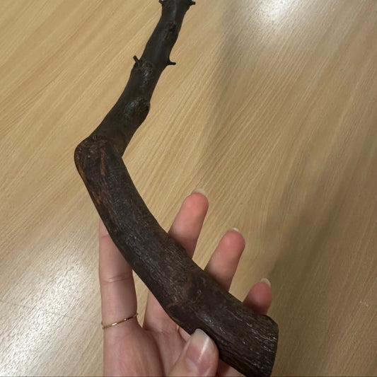 Light Thorny Blackthorn Stick with L Handle – 98cm