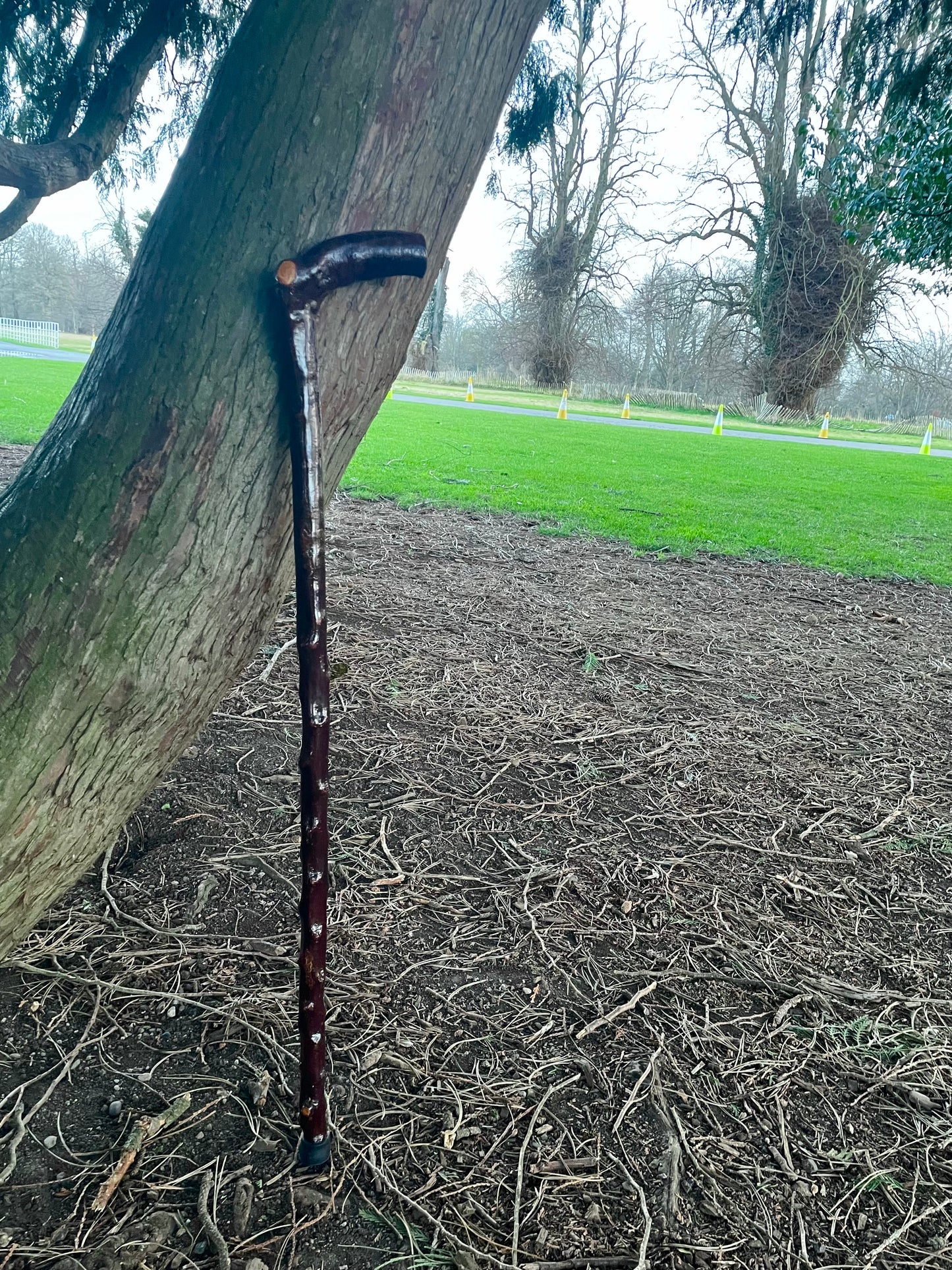 walking stick with comfortable Handle