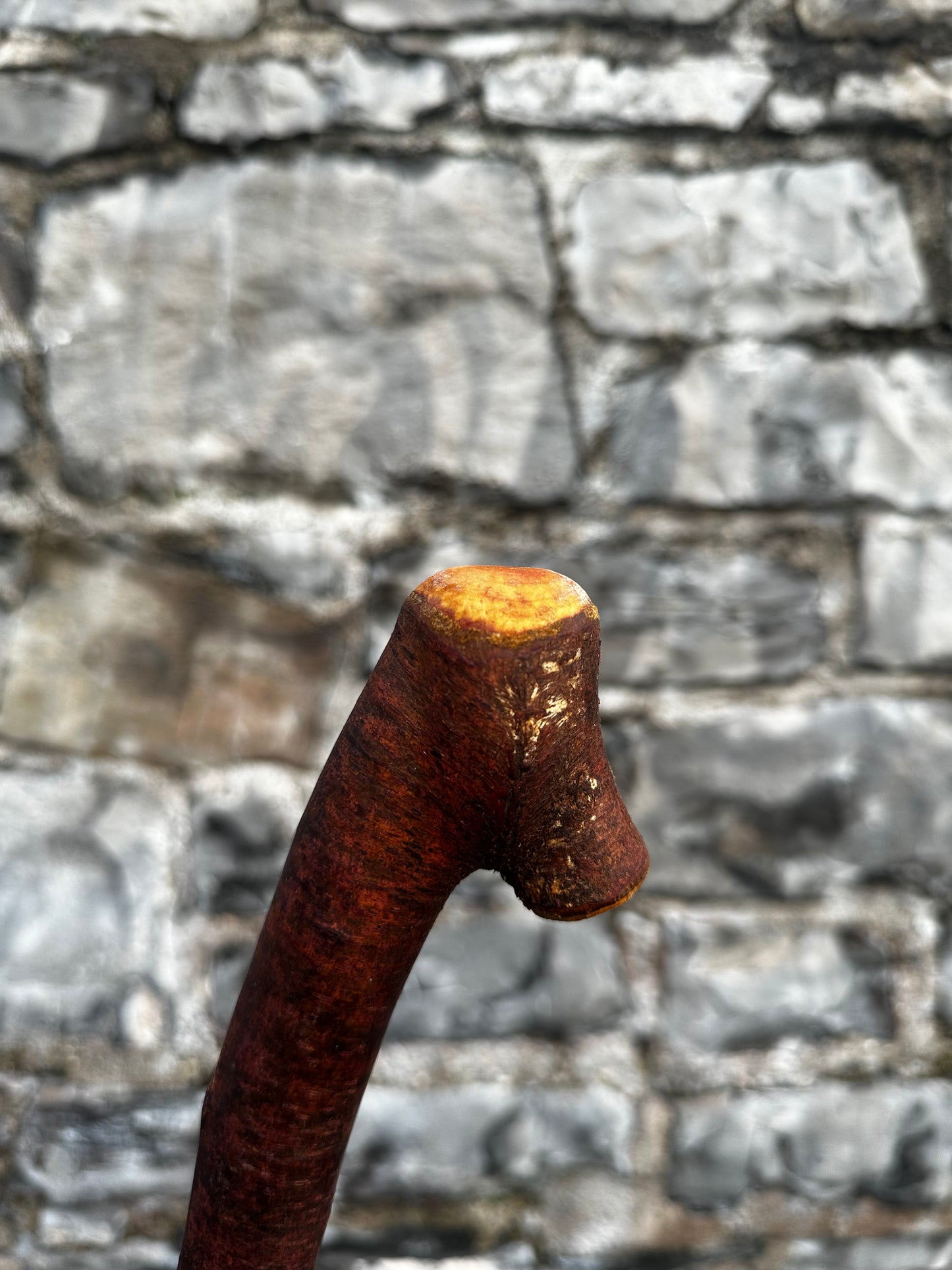 Blackthorn Walking Stick with Small Knob Handle – 98 cm (38.5”)