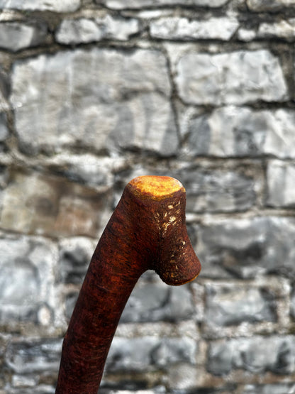 Blackthorn Walking Stick with Small Knob Handle – 98 cm (38.5”)