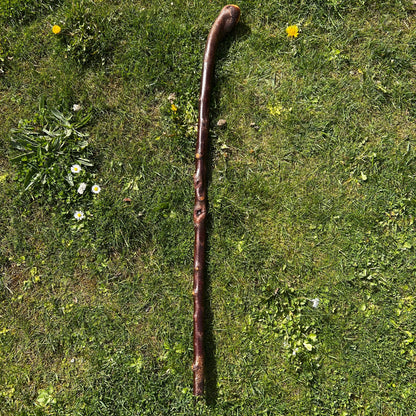 Blackthorn Root Ball Shillelagh – 100 cm (39.4”)