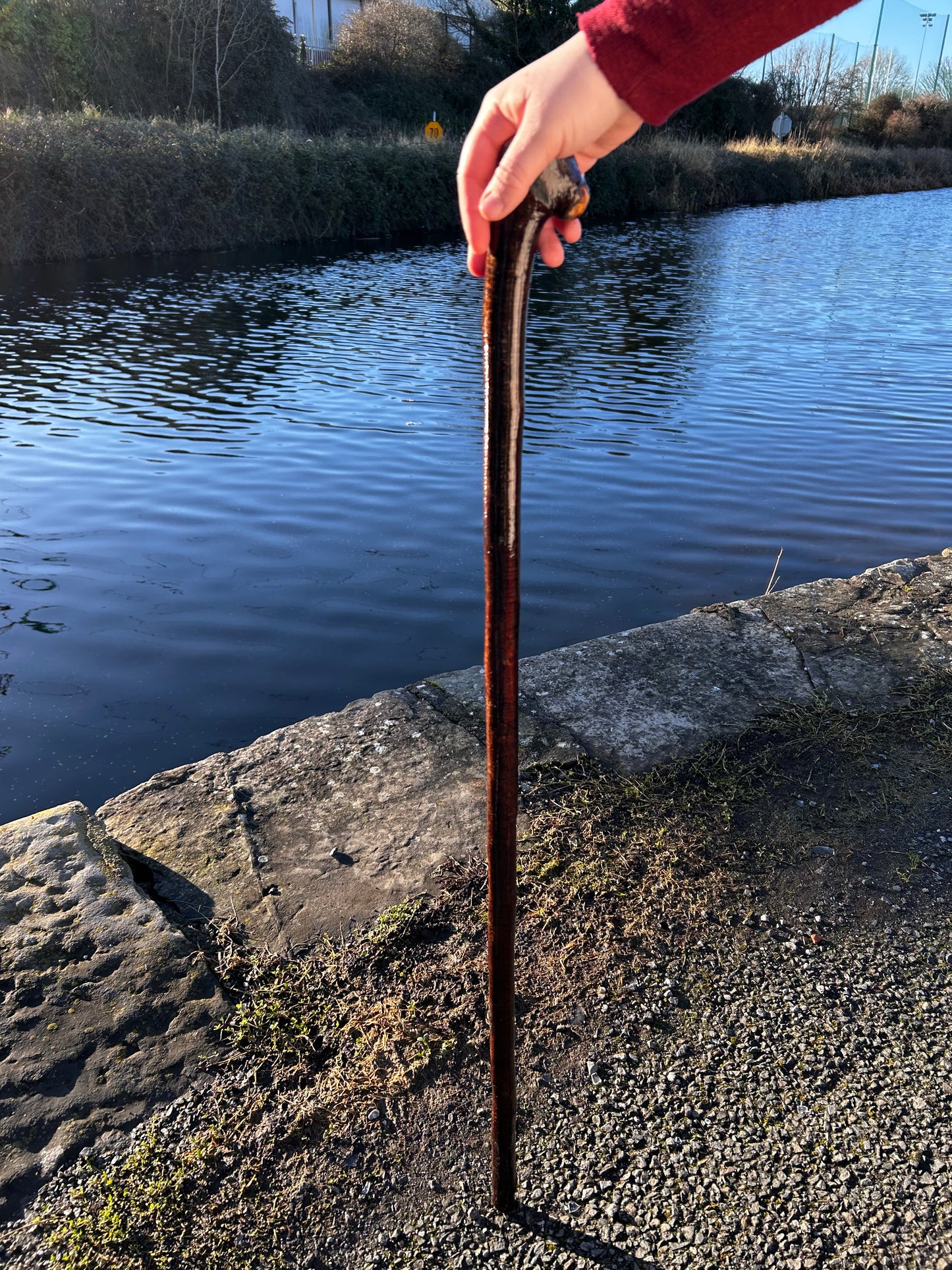 Blackthorn Shillelagh with Small Handle - 99 cm / 39 inches