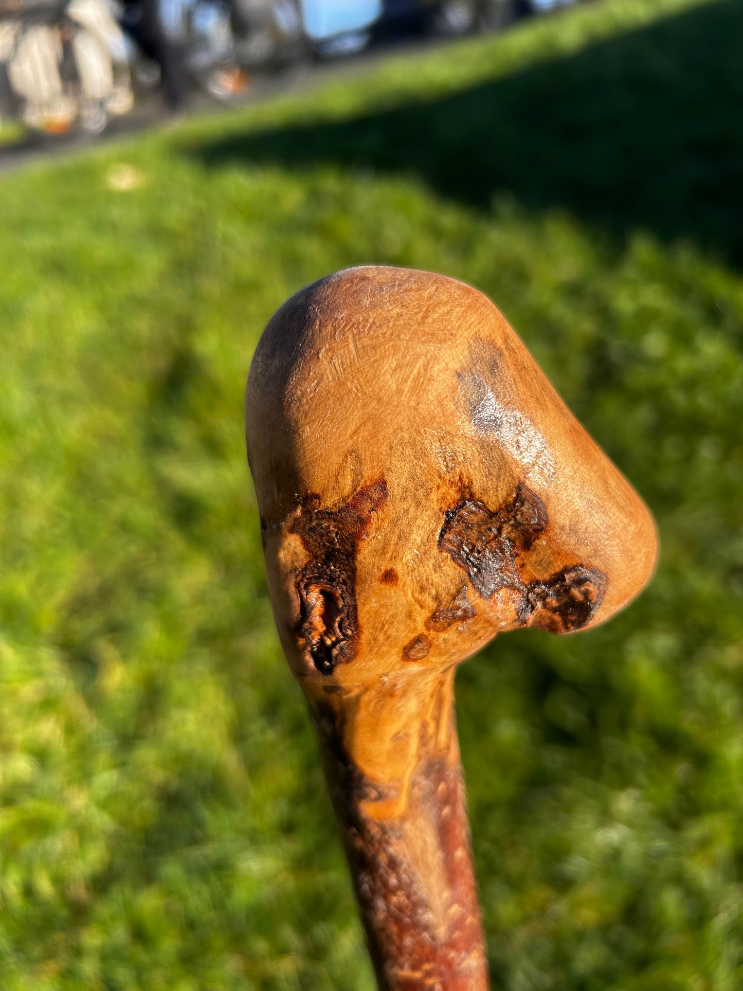 Hazel Knob Walking Stick – 106 cm / 42 inches