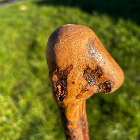 Hazel Knob Walking Stick – 106 cm / 42 inches