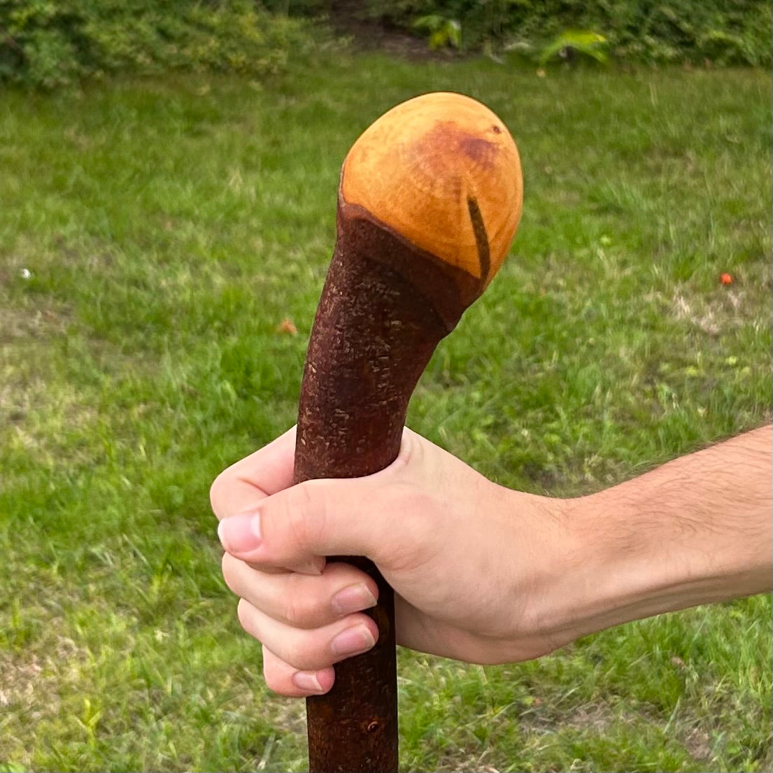Natural Crooked Shaft Blackthorn Shillelagh – 102 cm (40.2”)