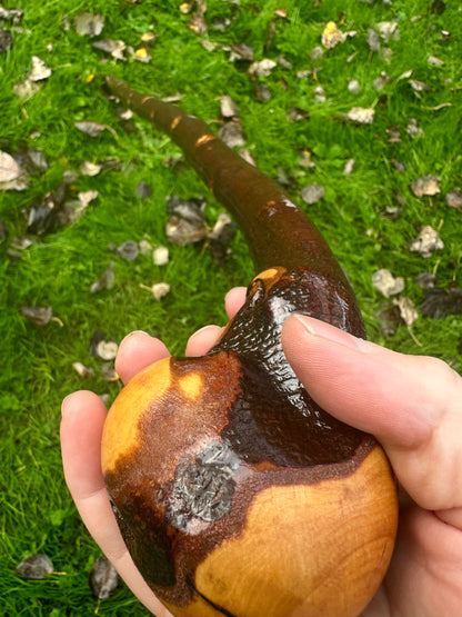 Irish Blackthorn Walking Stick with Knuckles – 40”