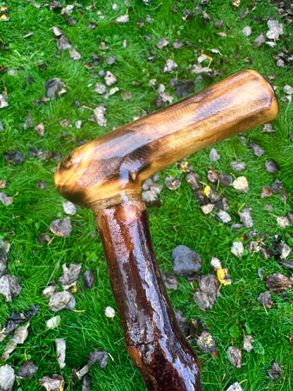 Irish Blackthorn Walking Stick with L Handle – 38”