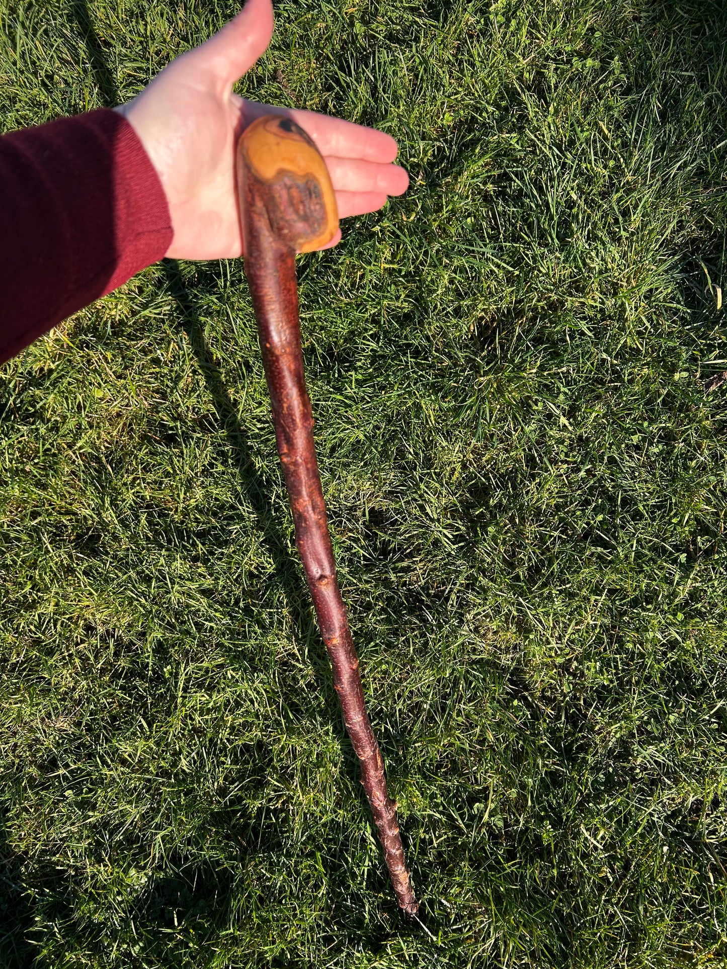 Blackthorn Shillelagh with Large Curved Handle – 100 cm (39”)