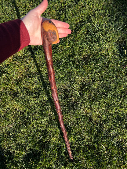 Blackthorn Shillelagh with Large Curved Handle – 100 cm (39”)