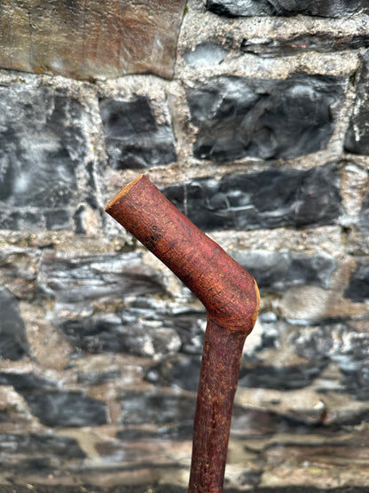 Blackthorn Walking Stick with 45° Handle – 109 cm (42.9”)