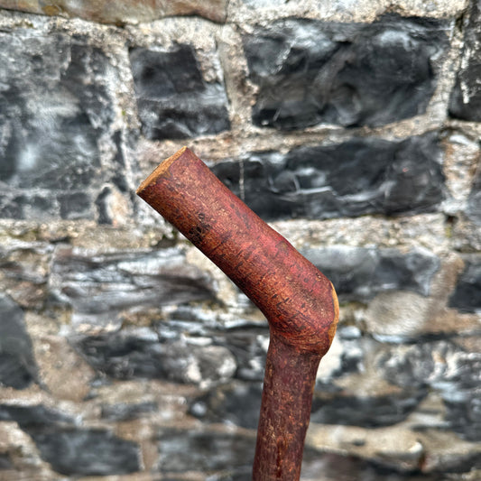 Blackthorn Walking Stick with 45° Handle – 103cm (40”)