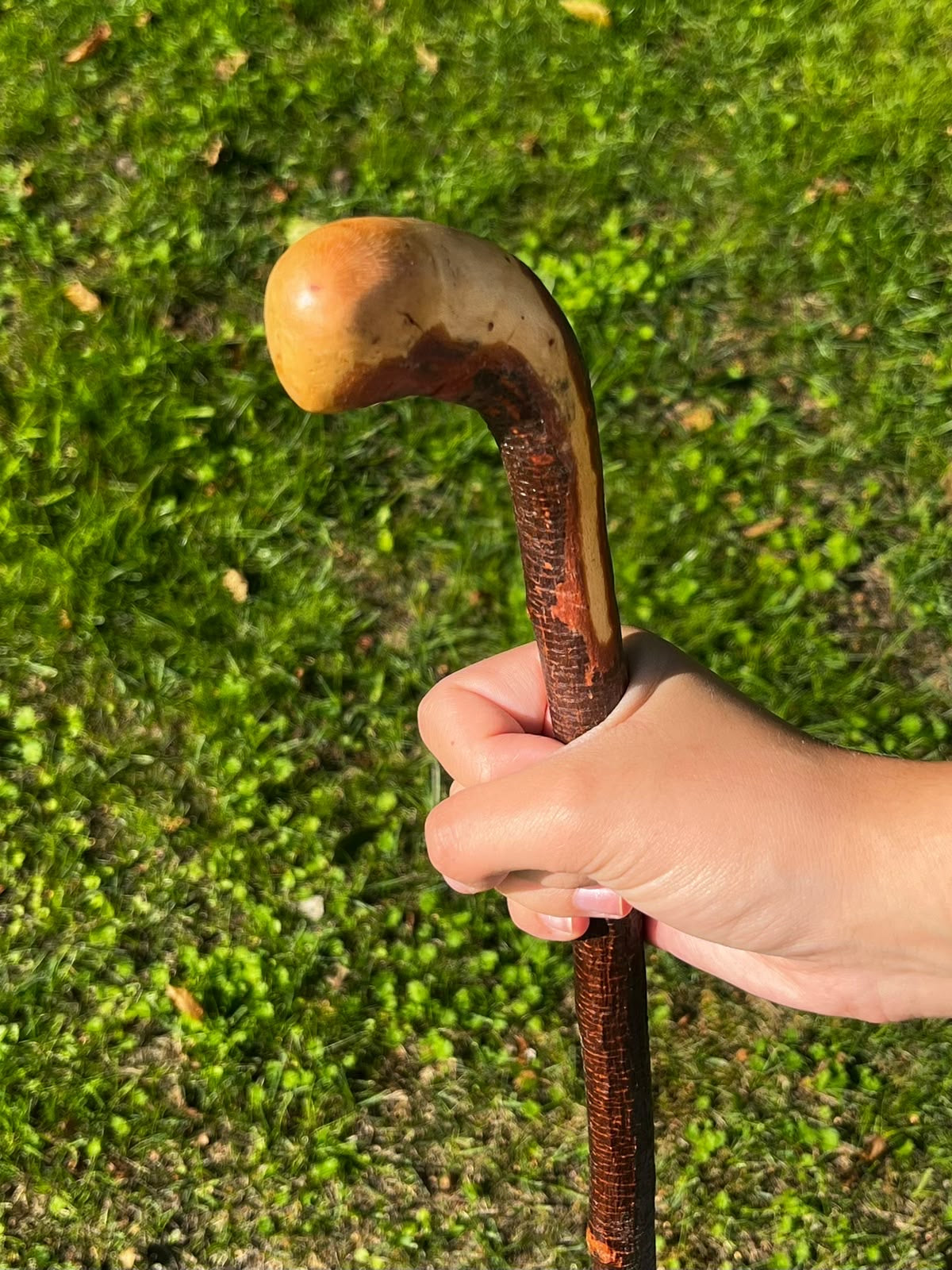 Blackthorn Knob Shillelagh Walking Stick – 91 cm (35.8”)