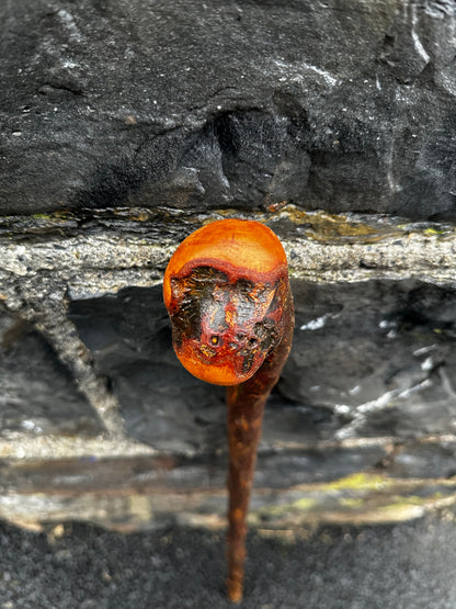 Rugged Blackthorn Walking Stick with Exposed Natural Knob Head – 93 cm (36.6”)