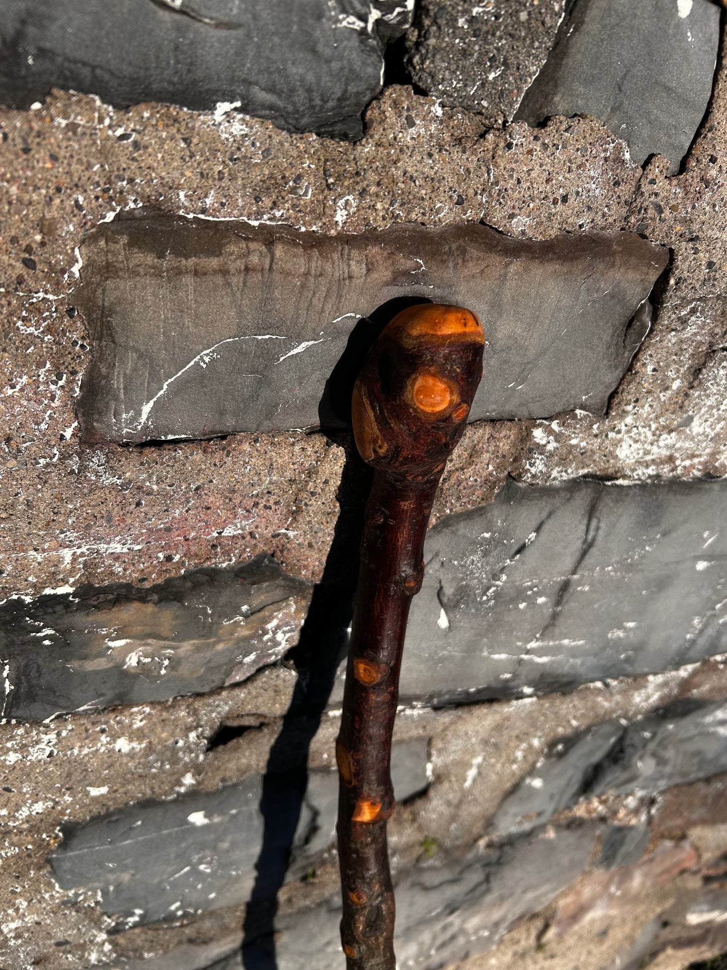 Raspy Shaft Blackthorn Shillelagh - 96 cm (37")