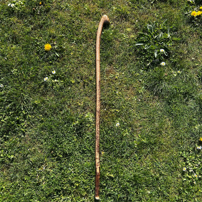 Hazel Shillelagh Knob Stick – 103 cm (40.5”)