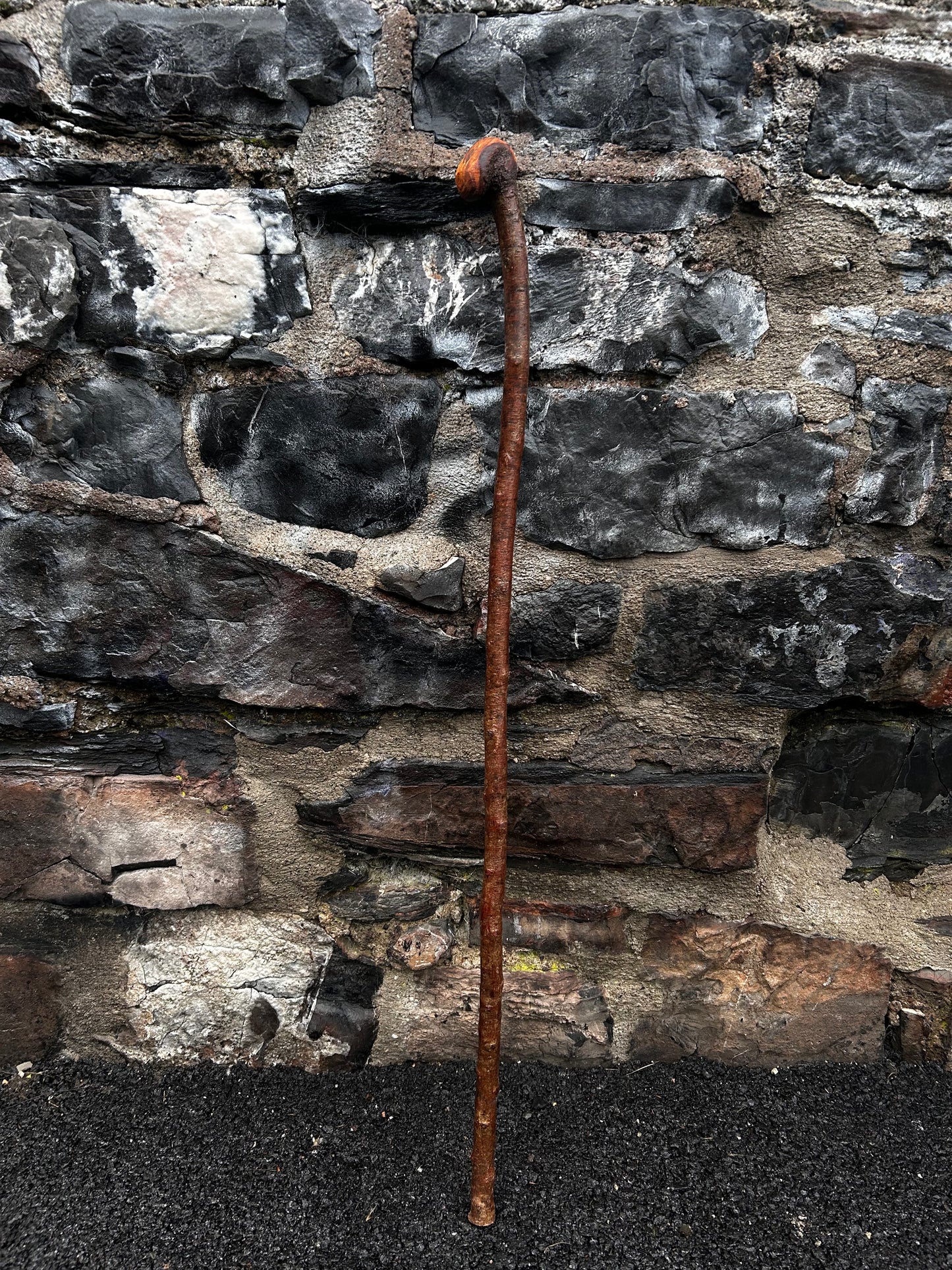 Blackthorn Walking Stick with Small Knob Head – 94 cm (37”)