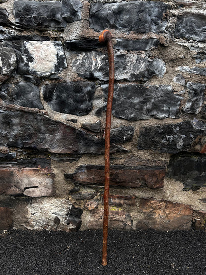 Blackthorn Walking Stick with Small Knob Head – 94 cm (37”)
