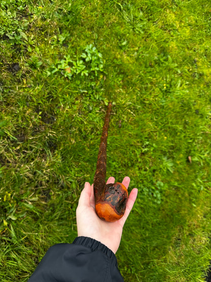 Rugged Blackthorn Walking Stick with Exposed Natural Knob Head – 93 cm (36.6”)