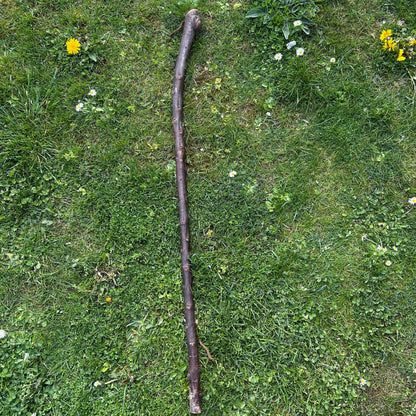 Tall Blackthorn Shillelagh with Knotted Shaft – 111 cm (43.7”)