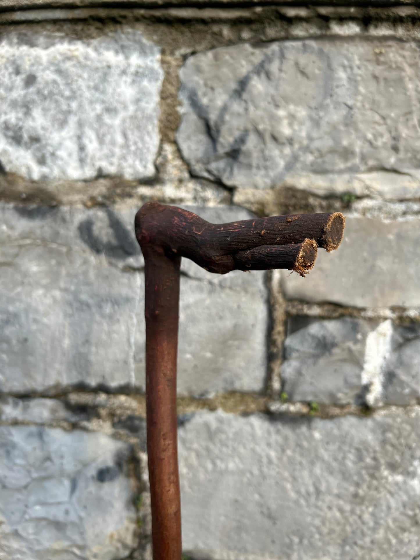 Blackthorn Walking Stick with L Handle – 94 cm (37”)