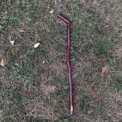 Blackthorn Shillelagh Sloped L Handle “Door Knocker” – 75 cm (29.5”)