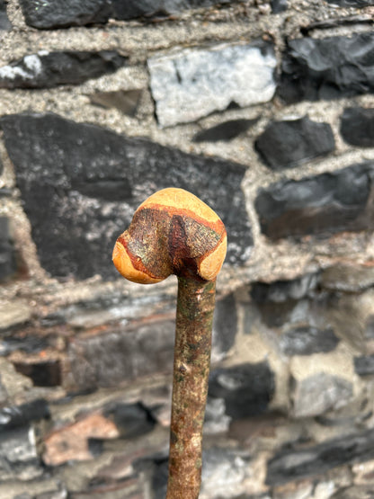 Raspy-Textured Hazel Walking Stick with Knob Head – 99 cm (39”)