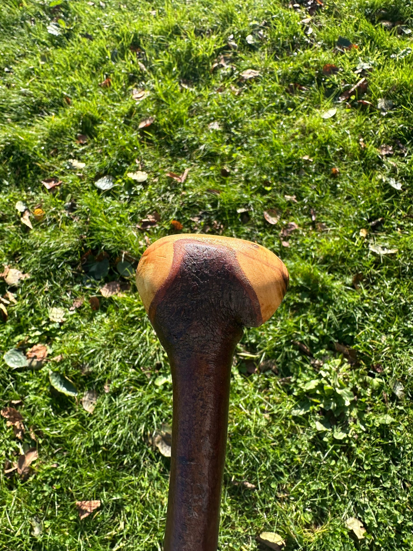 Blackthorn Walking Stick with Round Handle - 96 cm / 37.8 inches