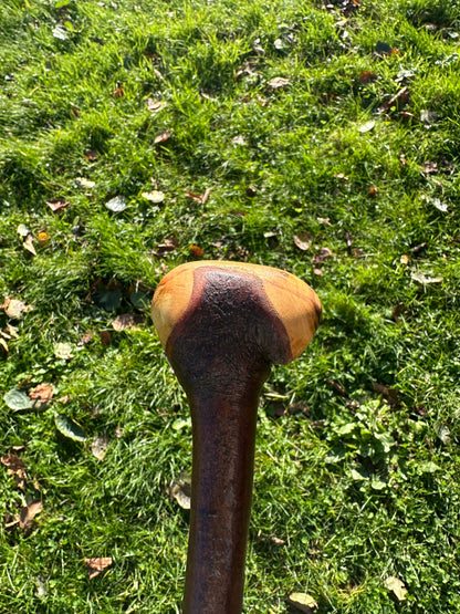 Blackthorn Walking Stick with Round Handle - 96 cm / 37.8 inches